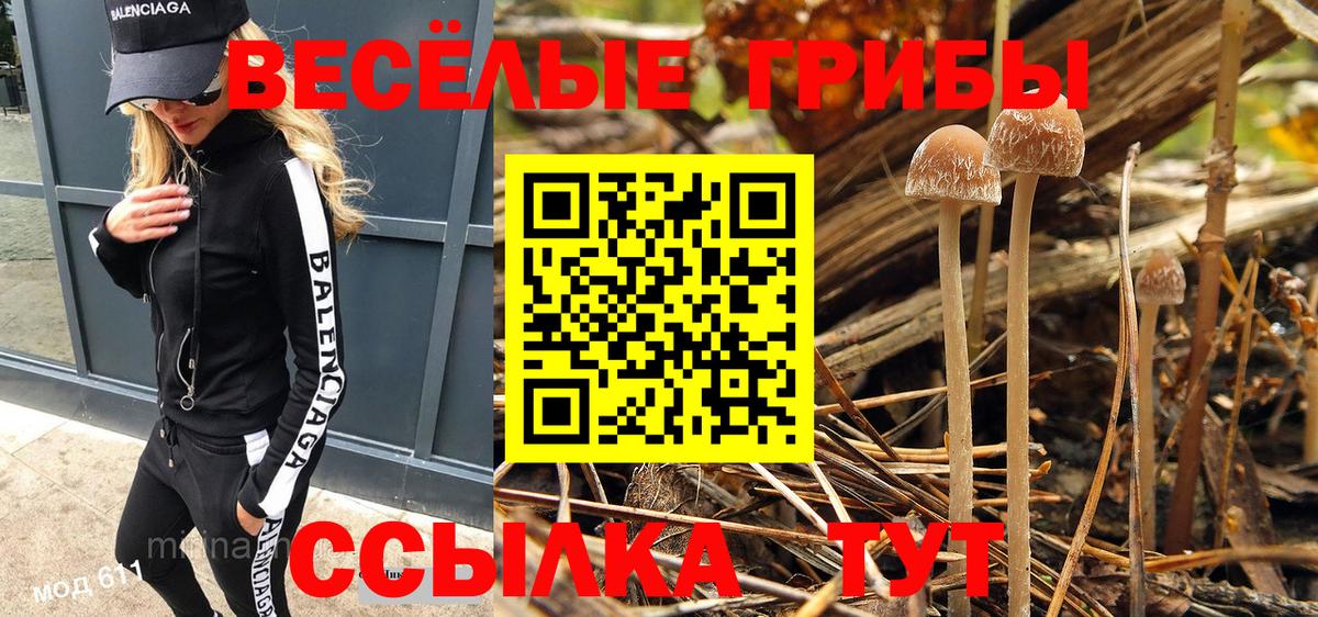 Галлюциногенные грибы Psilocybine cubensis  Галлюциногенные грибы Psilocybine cubensis  Мценск  Вход с VPN 