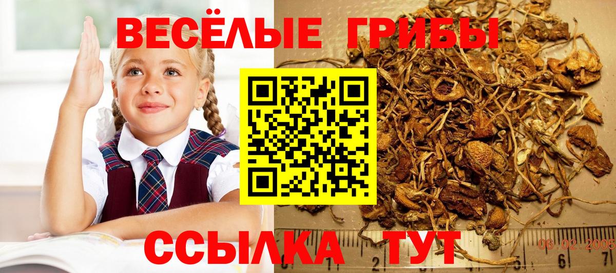 Галлюциногенные грибы GOLDEN TEACHER Мценск